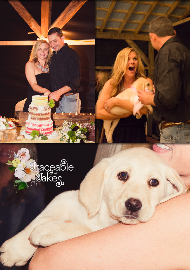wedding-puppy-surprise