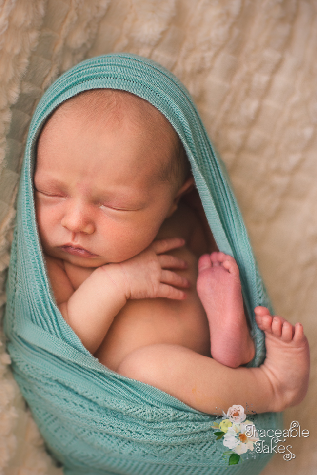 adelaide-newborn-photography-