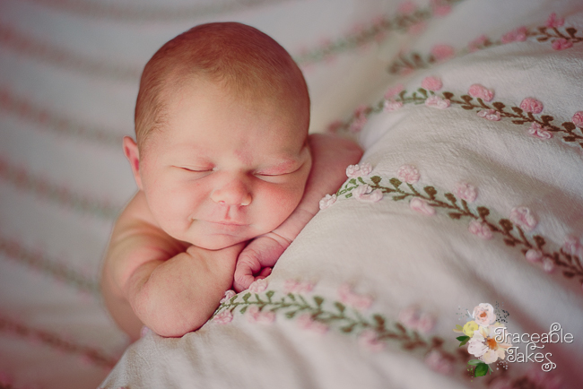 adelaide-newborn-photography-3434