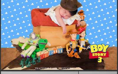 Toy Story – Boy Story