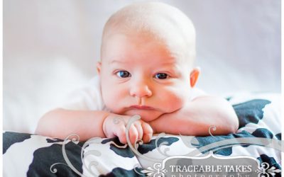 Brock :: 8 weeks old :: Newborn Photography